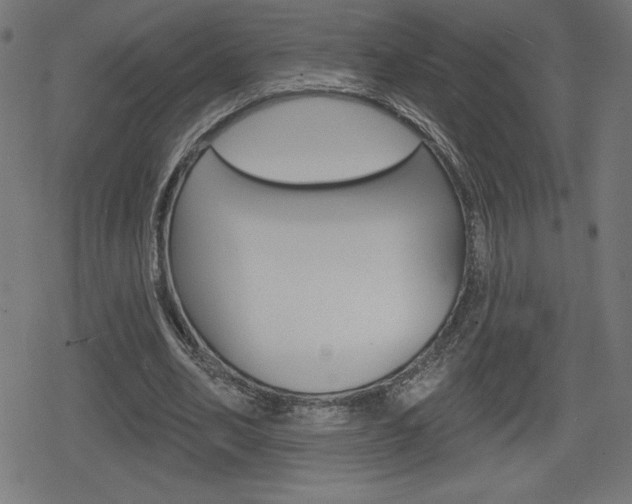 X0000078850582200611130937