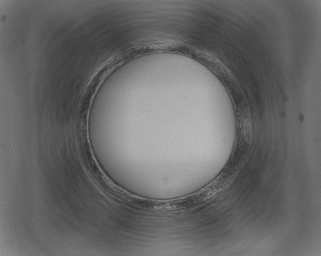 X0000078850591200611130936