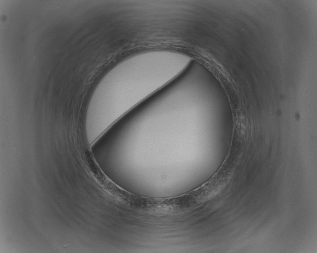 X0000078850593200611130936
