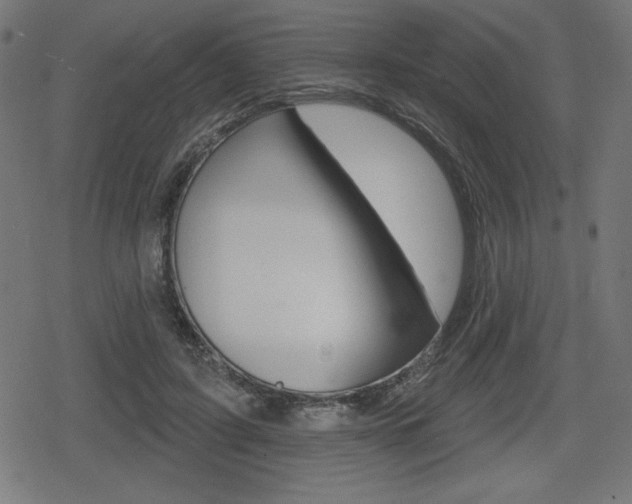 X0000078850595200611130936