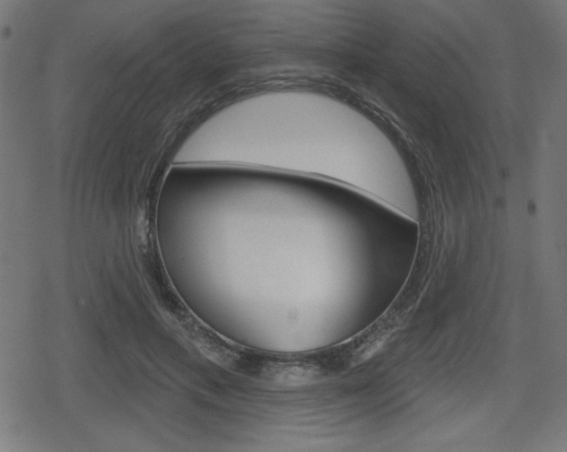X0000078850597200611130936