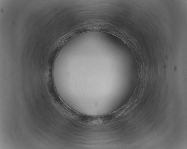 X0000078850600200611130936