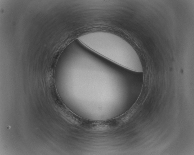 X0000078850601200611130936