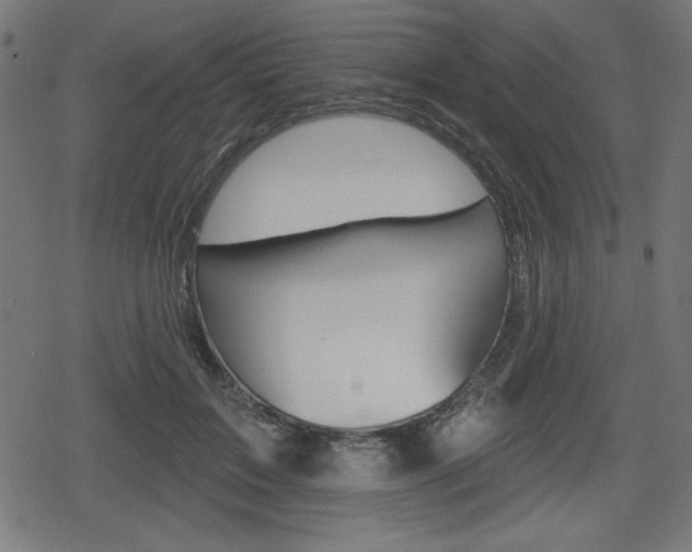 X0000078850603200611130936