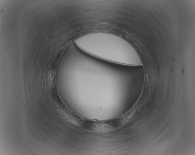 X0000078850605200611130936