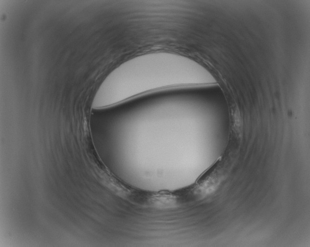 X0000078850617200611130936
