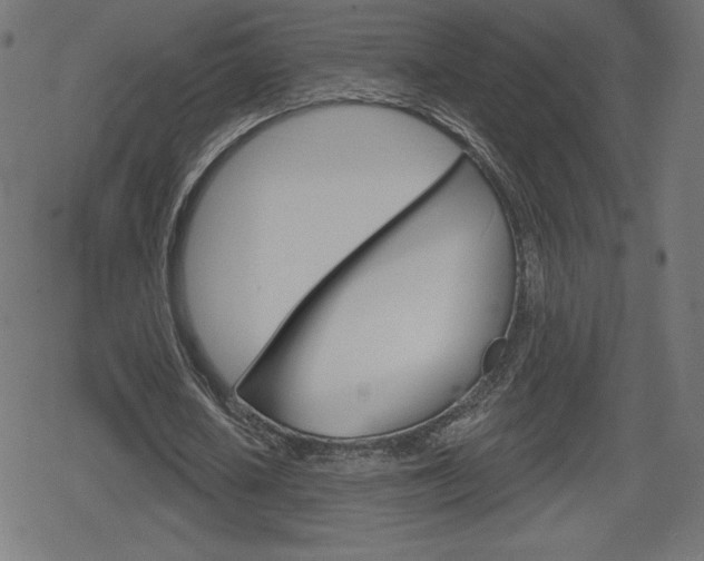 X0000078850626200611130935
