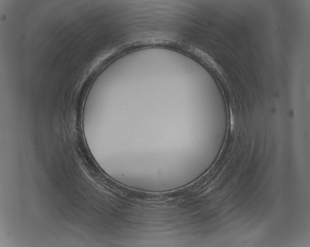 X0000078850627200611130935