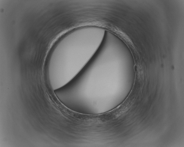 X0000078850628200611130935