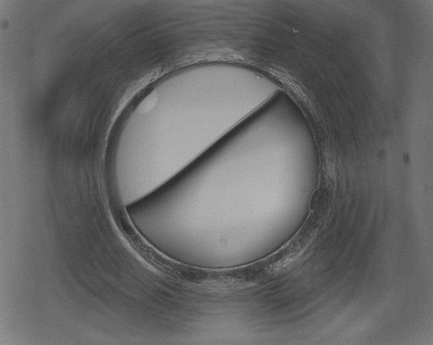 X0000078850630200611130935