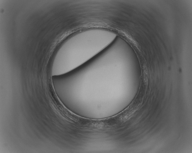 X0000078850631200611130935