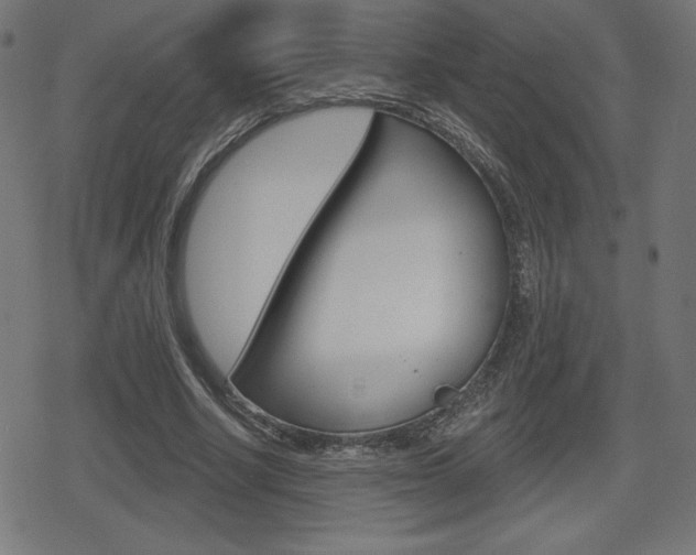 X0000078850634200611130935