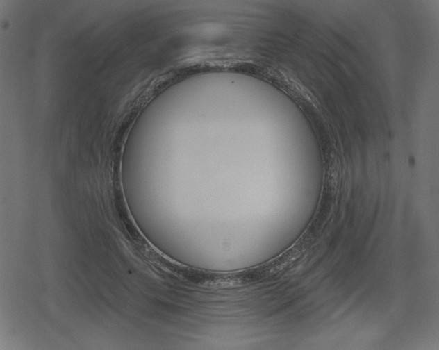 X0000078850639200611130935