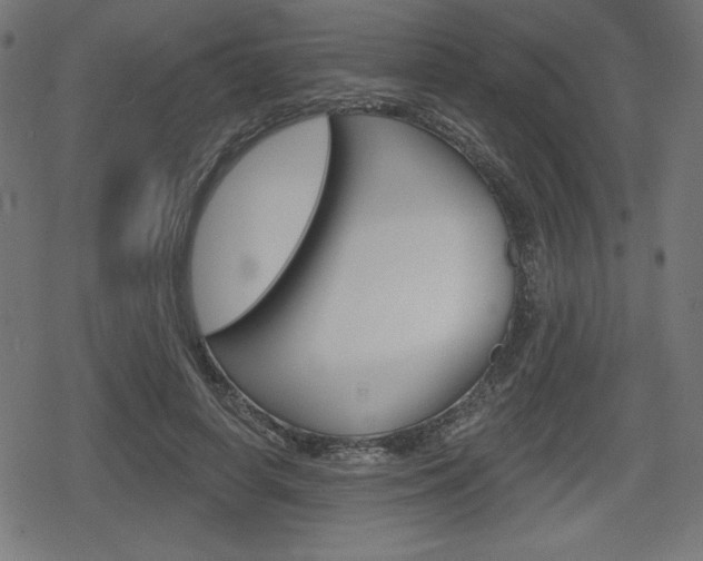 X0000078850642200611130935