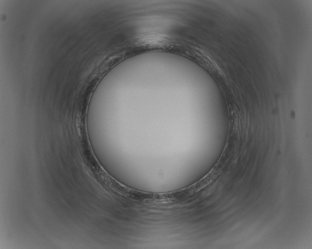 X0000078850643200611130935