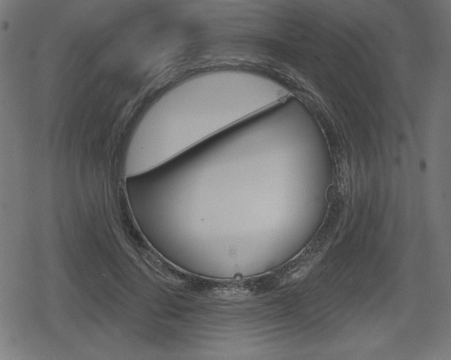 X0000078850644200611130935