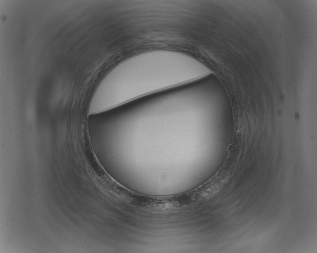 X0000078850646200611130935