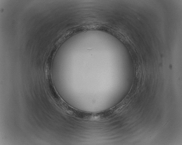 X0000078850647200611130935