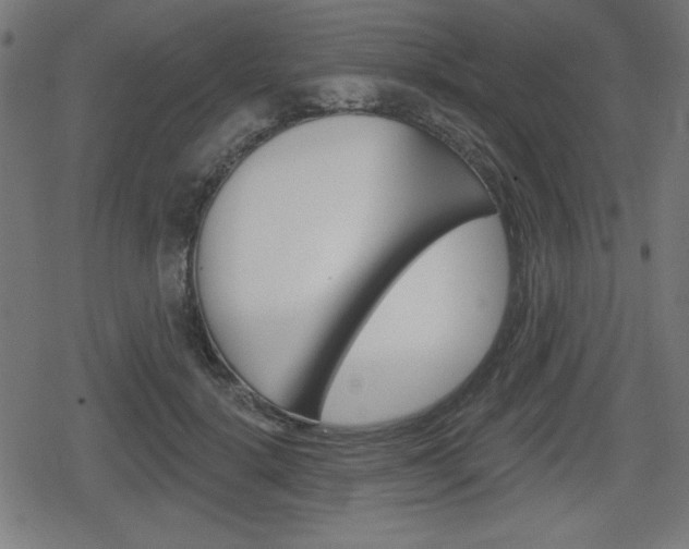 X0000078850652200611130936