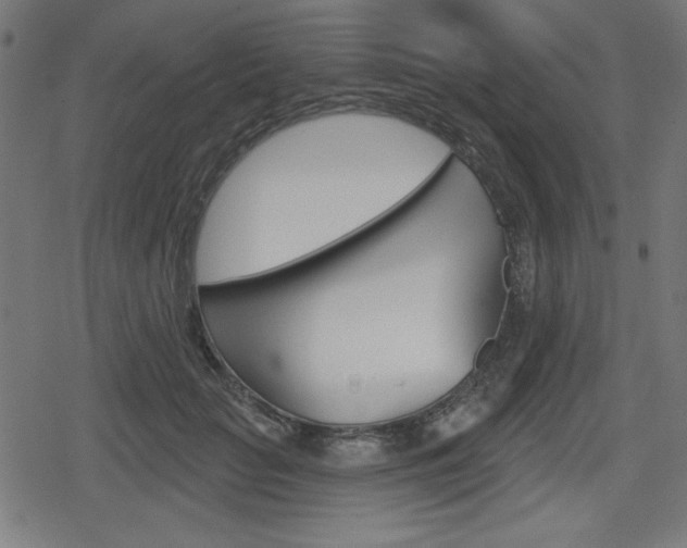 X0000078850653200611130936