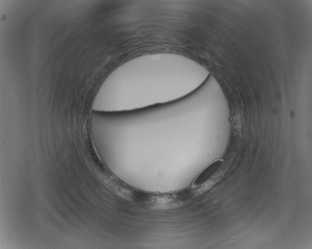 X0000078850662200611130936