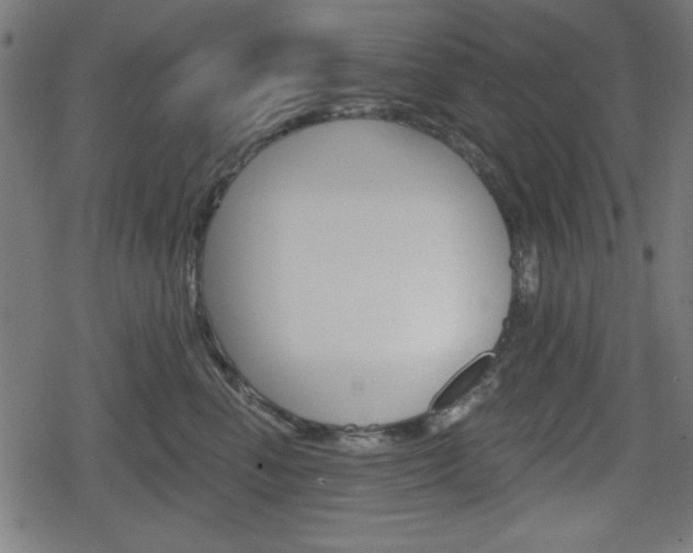 X0000078850666200611130936