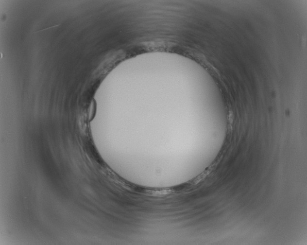 X0000078850671200611130936