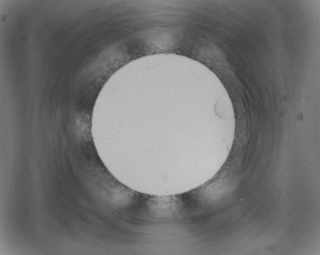 X0000078850672200611130936