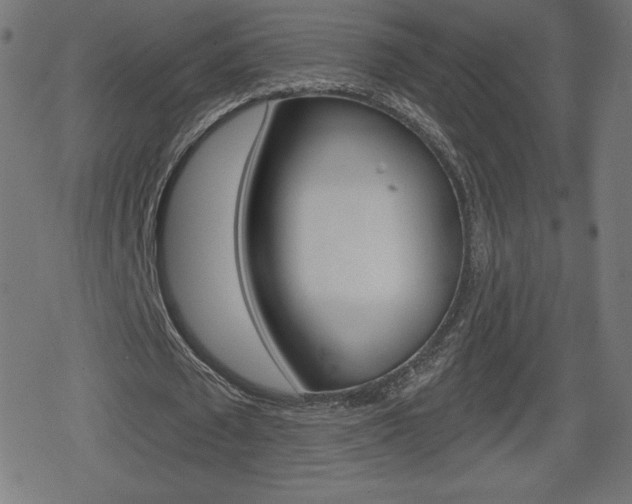 X0000078850673200611130935