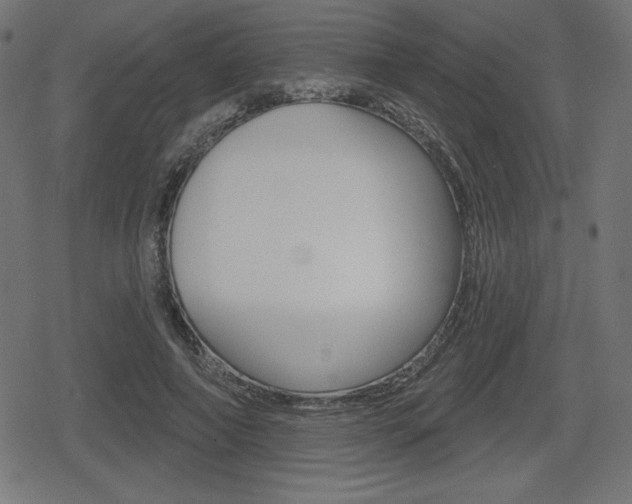 X0000078850690200611130935