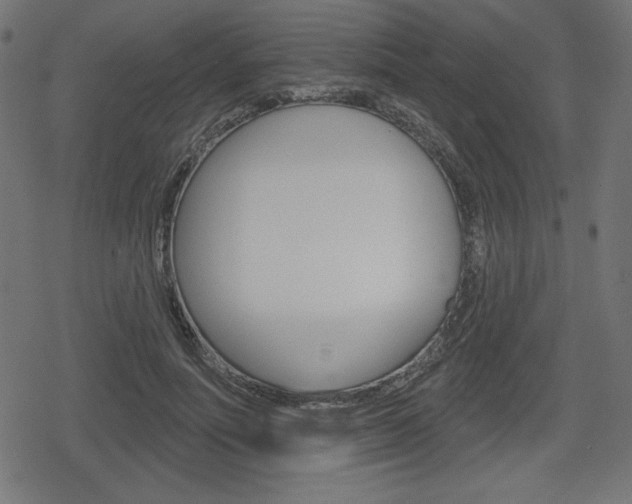 X0000078850691200611130935