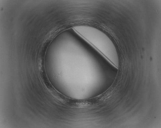 X0000078850693200611130935