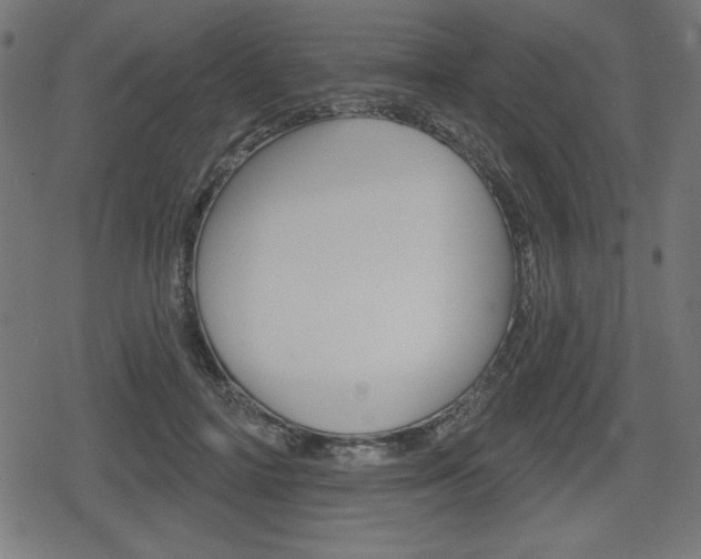 X0000078850698200611130935