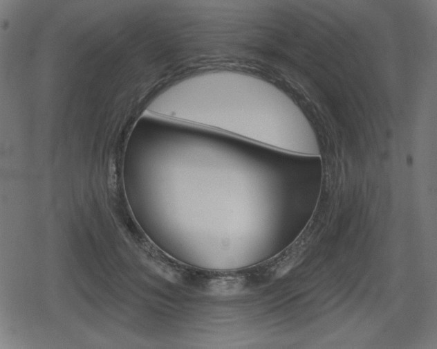 X0000078850700200611130935