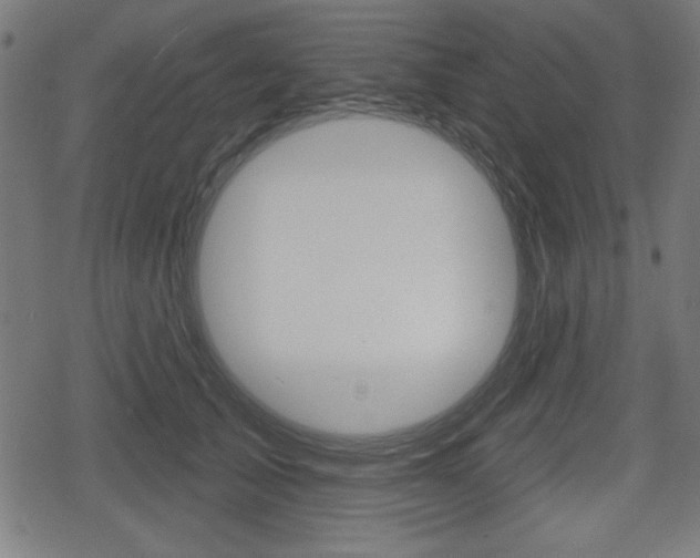 X0000078850705200611130935