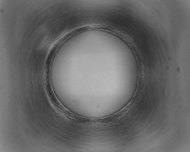 X0000078850730200611130934