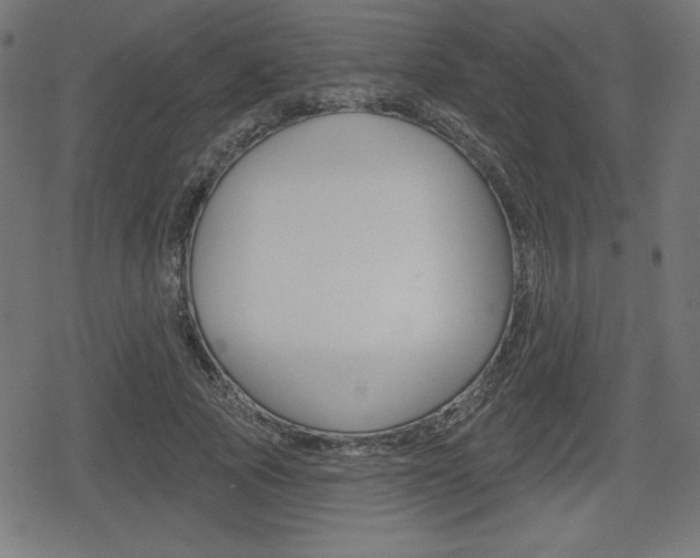 X0000078850737200611130934