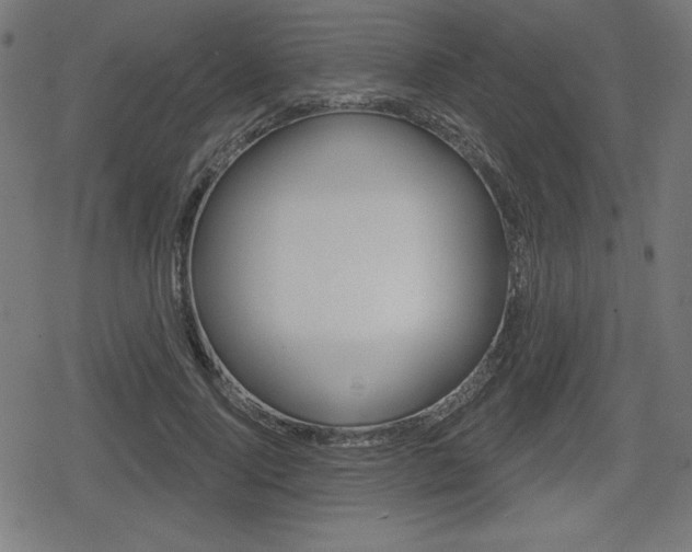 X0000078850740200611130934