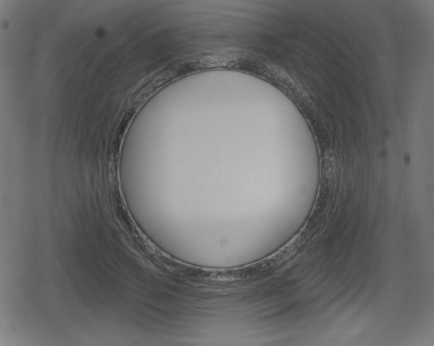 X0000078850741200611130934