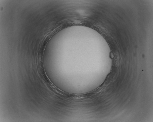 X0000078850747200611130934