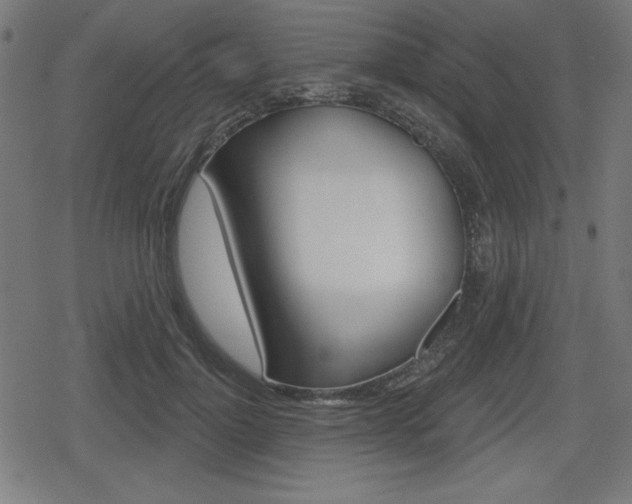 X0000078850748200611130934