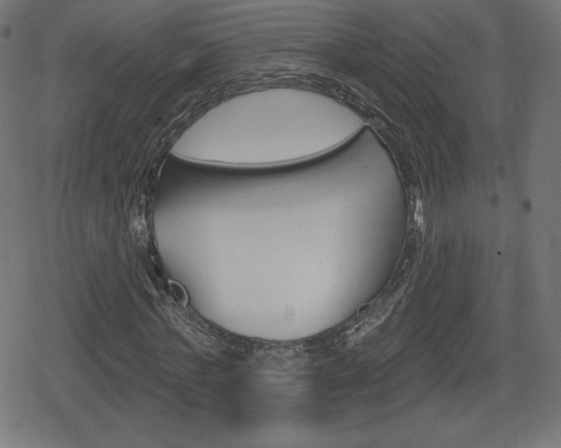 X0000078850771200611130934