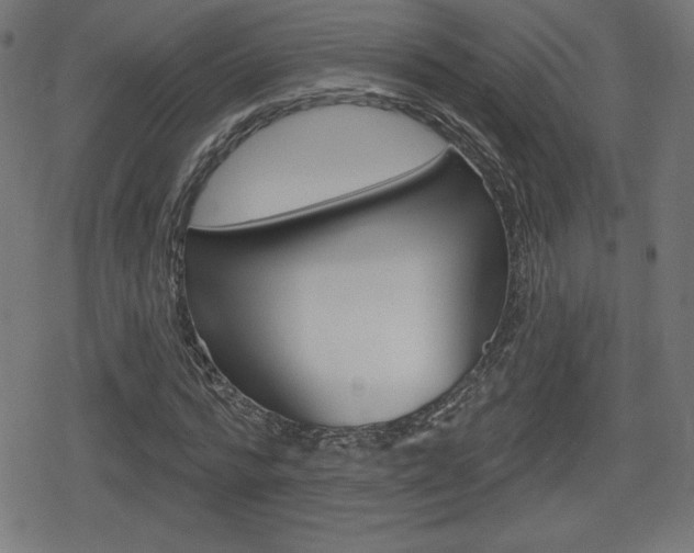 X0000078850776200611130933