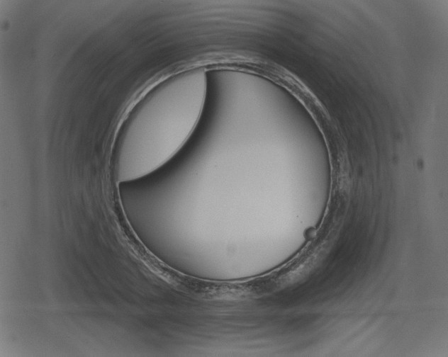 X0000078850786200611130933