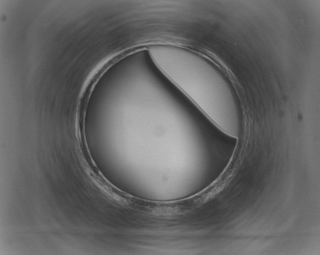 X0000078850788200611130933
