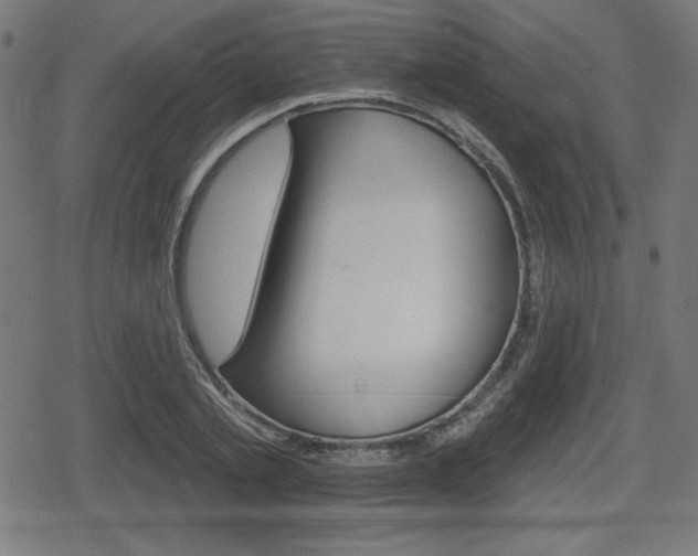 X0000078850789200611130933