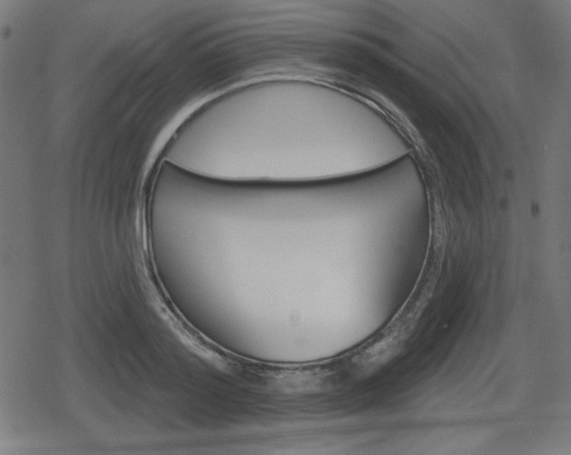 X0000078850796200611130933