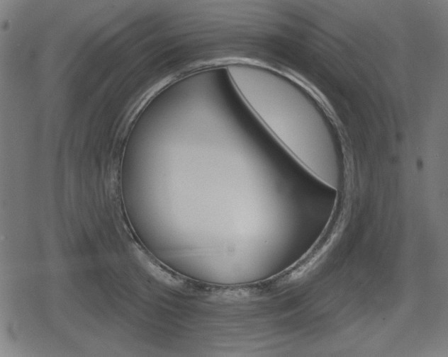 X0000078850801200611130933