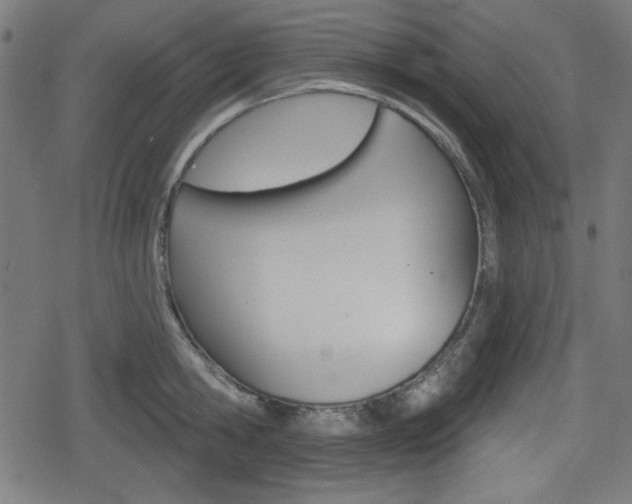 X0000078850806200611130933
