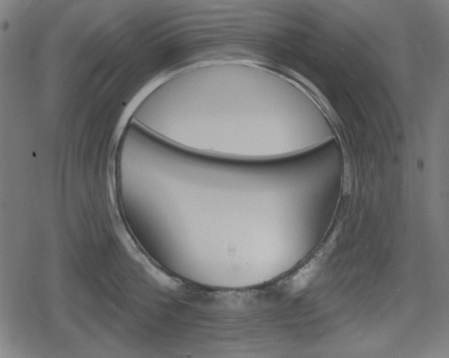 X0000078850812200611130933